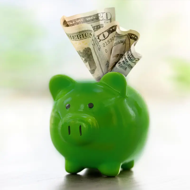 Money Savings