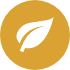 Leaf Graphic