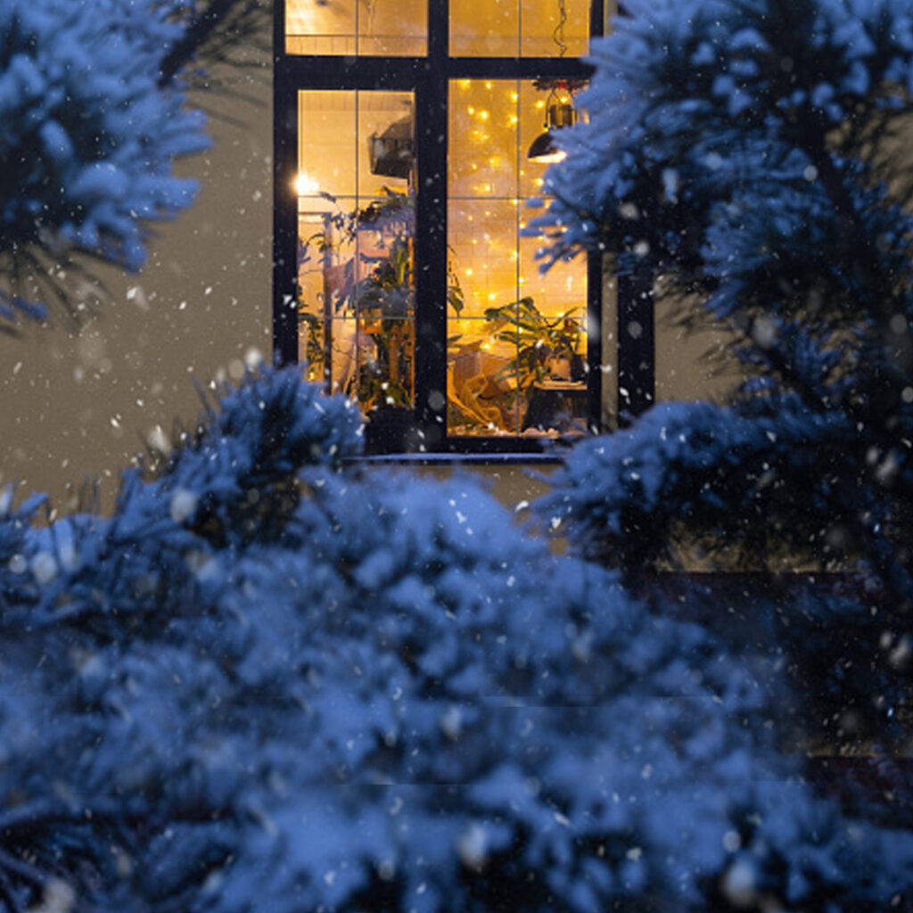 Cold Night, looking in through a window